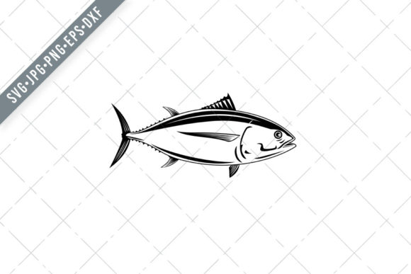 Pacific Albacore Thunnus Alalunga in Design