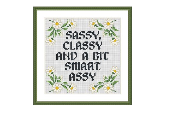 Sassy Funny Quote Cross Stitch: Patterns for Bold Stitchers