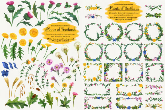 Why Most Designers Overlook the True Potential of Plants of Scotland Watercolor Assets
